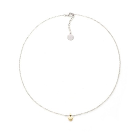 Collana in argento bicolore con cuore