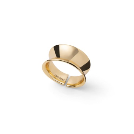 Anello a fascia dorato