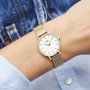 Boho Chic Petite Watch Mesh, White, Gold Colour